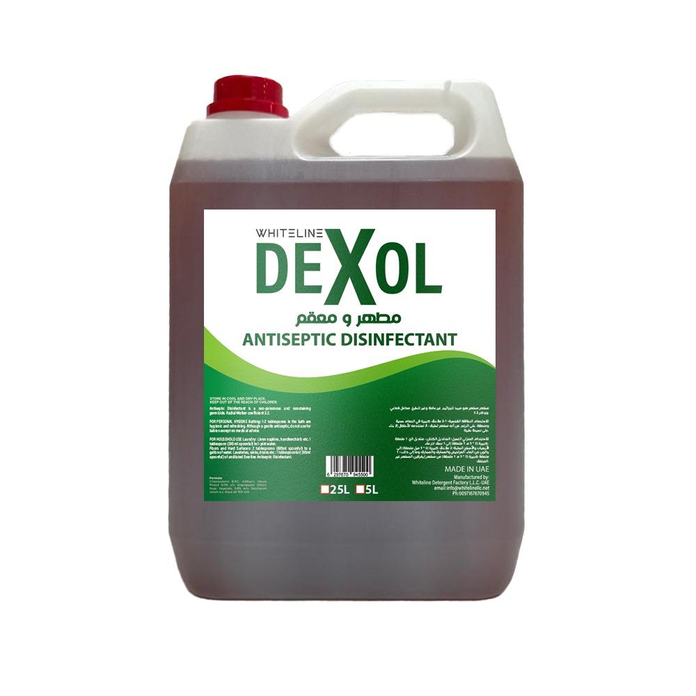 Antiseptic Disinfectant, Economy, 5 LTR