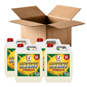 V2 MULTIPURPOSE- 4X5L