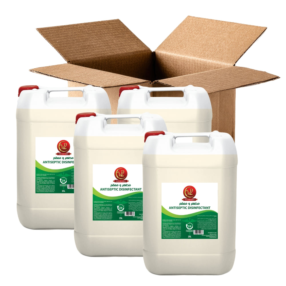 V2 ANTISEPTIC- 25L